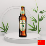 Piwo Tsingtao IPA chińskie Pale Ale 6,2% 330ml